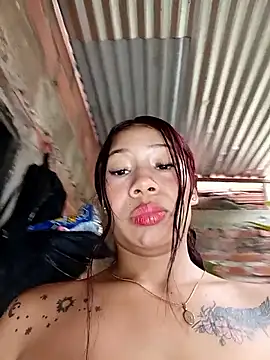 Show Webcam de Rous-squir