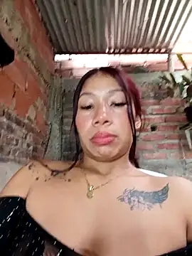 Show Webcam de Rous-squir