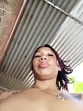 Show Webcam de Rous-squir