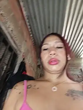 Show Webcam de Rous-squir