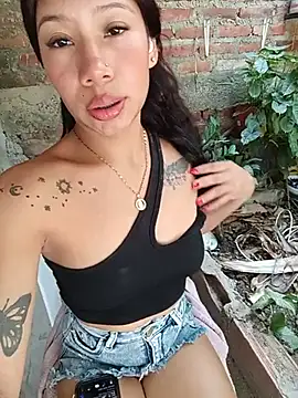 Show webcam de Rous-squir