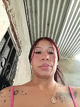 Show Webcam de Rous-squir