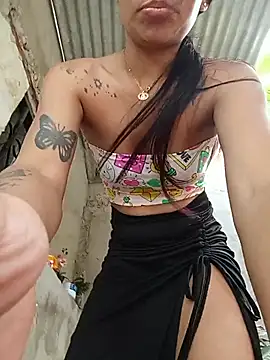 Show Webcam de Rous-squir