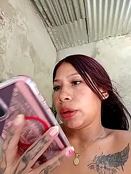 Show webcam de Rous-squir