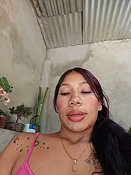 Show webcam de Rous-squir