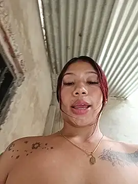 Show Webcam de Rous-squir