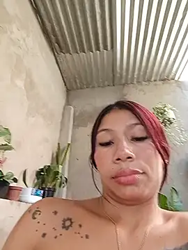 Show webcam de Rous-squir