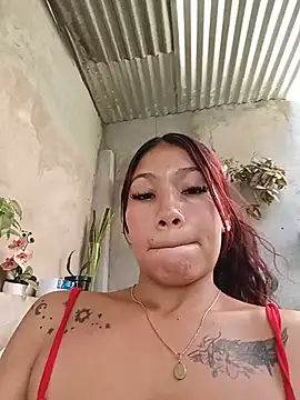 Show webcam de Rous-squir