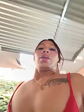 Show webcam de Rous-squir