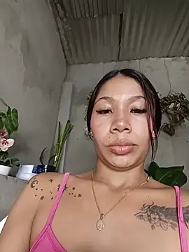 Show Webcam de Rous-squir
