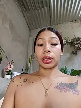 Show webcam de Rous-squir