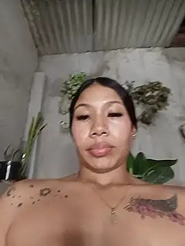 Show webcam de Rous-squir