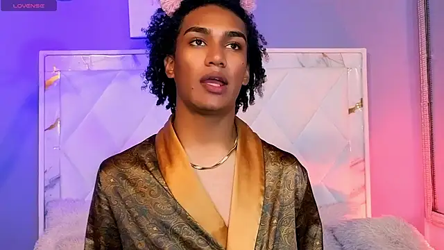 Hanzking01 Webcam Show
