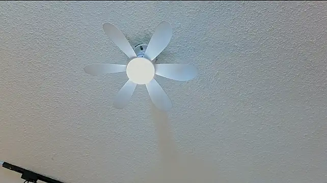 Melody-rose's Webcam Show