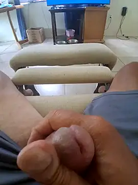 Show Webcam de pullitoff