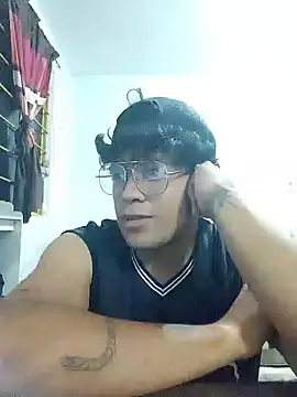 Jblousern Webbikameraesitys