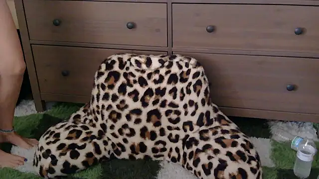 Show webcam de MollysChambers