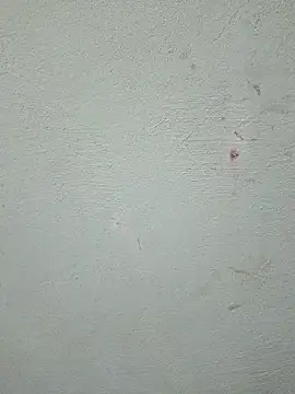 Živá chatovací místnost RavenShyfit