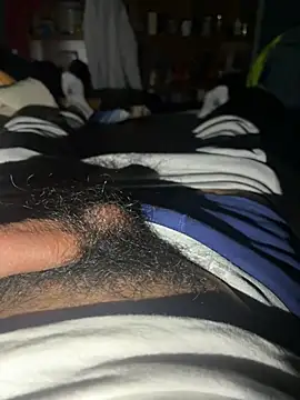 Aldito201n Webbikameraesitys