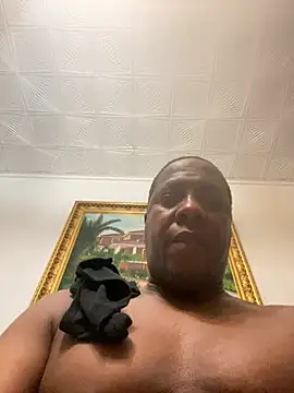 perlados 웹캠 쇼