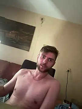 tonysdiaryn Webbikameraesitys