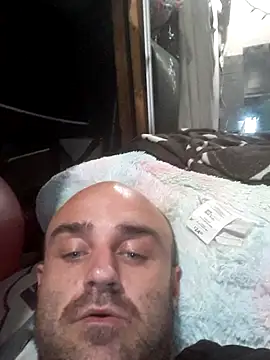 Bulbasaurisme Pertunjukan Webcam