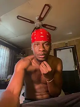 black_Man_dingo 웹캠 쇼