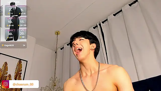 عرض كام AerumChae