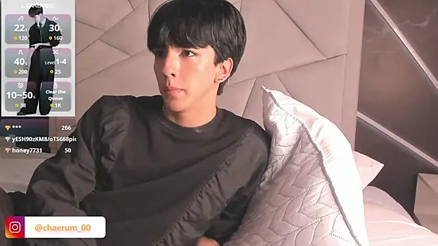 عرض كام AerumChae