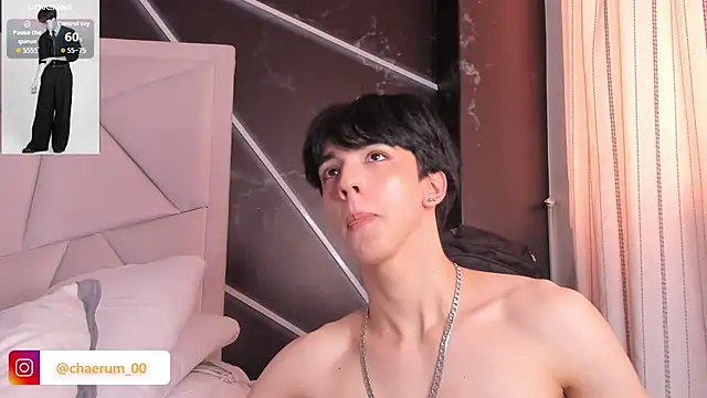 AerumChae's Webcam Show