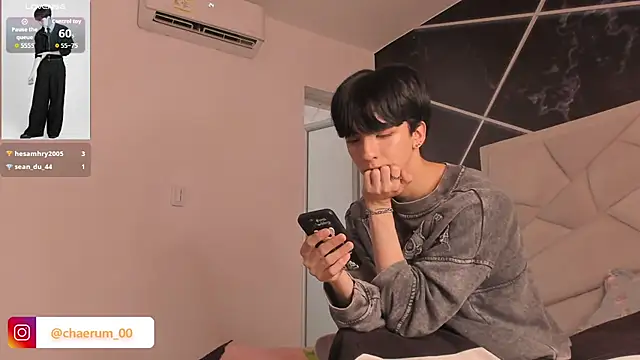AerumChae Webcam-Show
