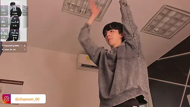 Show webcam de AerumChae