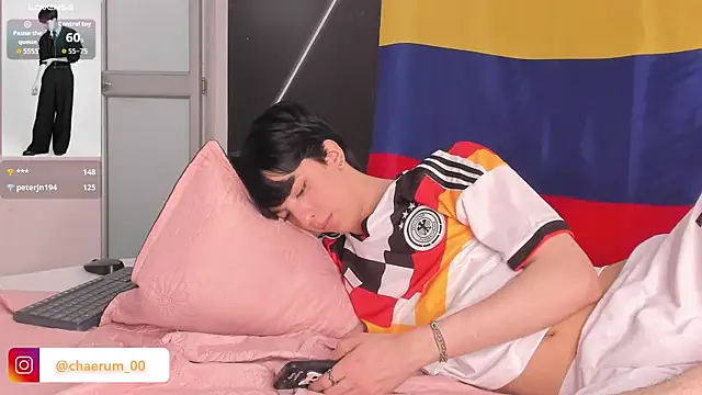 Show webcam de AerumChae