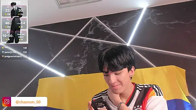 AerumChae's Webcam Show