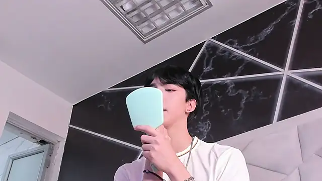 Show webcam de AerumChae