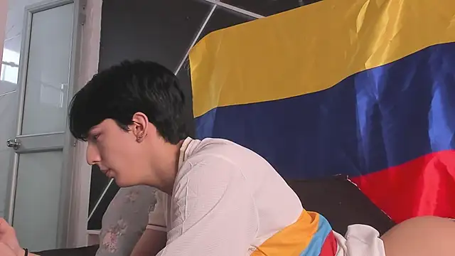Show Webcam de AerumChae