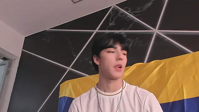 AerumChae Webcam-Show