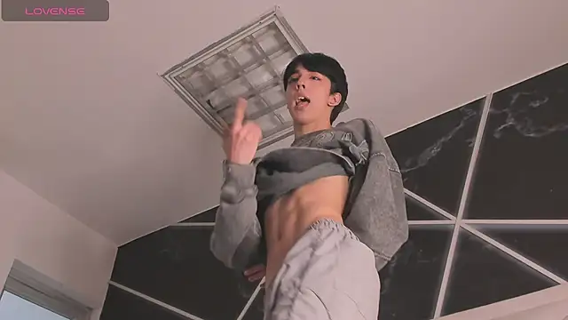 Show webcam de AerumChae