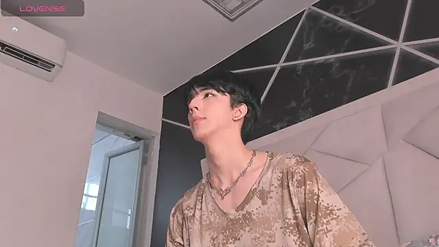 Show Webcam de AerumChae