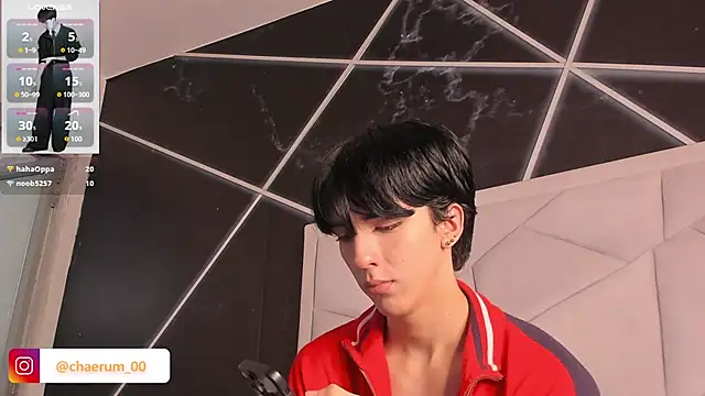 Show webcam de AerumChae