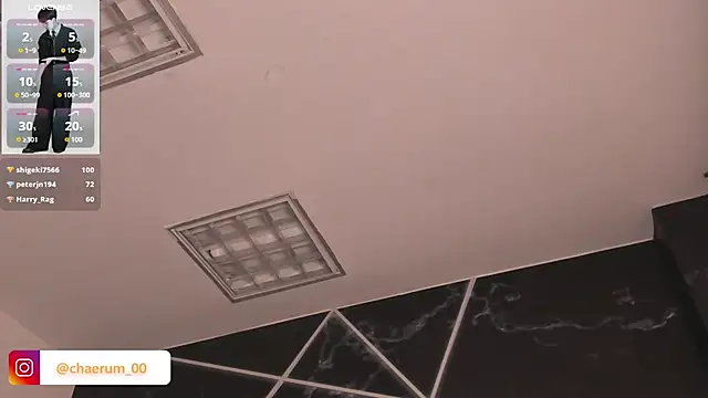 AerumChae 网络视讯表演