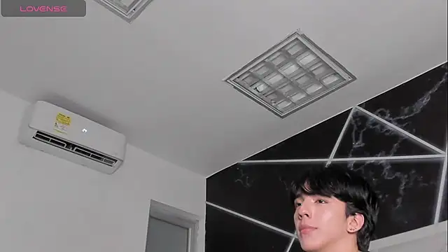 Show Webcam de AerumChae