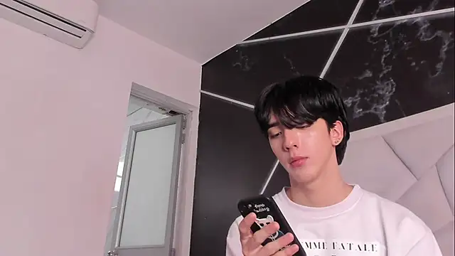 הופעת וובקאם של AerumChae