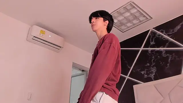 AerumChae Webcam Show