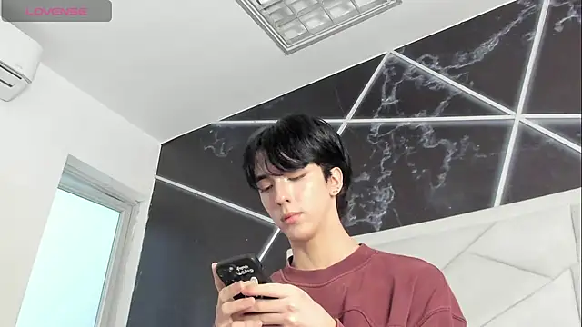 הופעת וובקאם של AerumChae