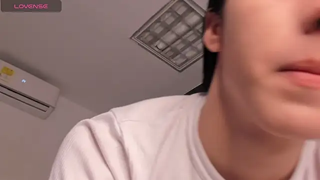 Show Webcam de AerumChae