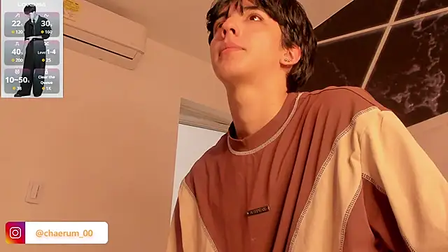 AerumChae Webcamshow