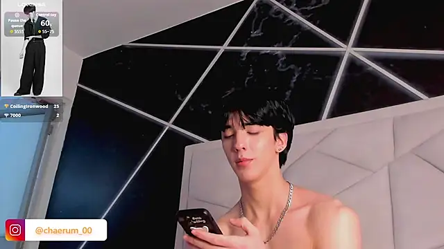 AerumChae Webcam-Show