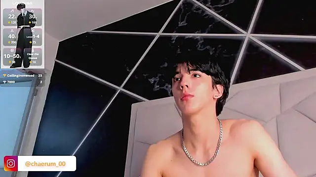 AerumChae Webcamshow