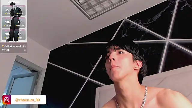 AerumChae's Webcam Show
